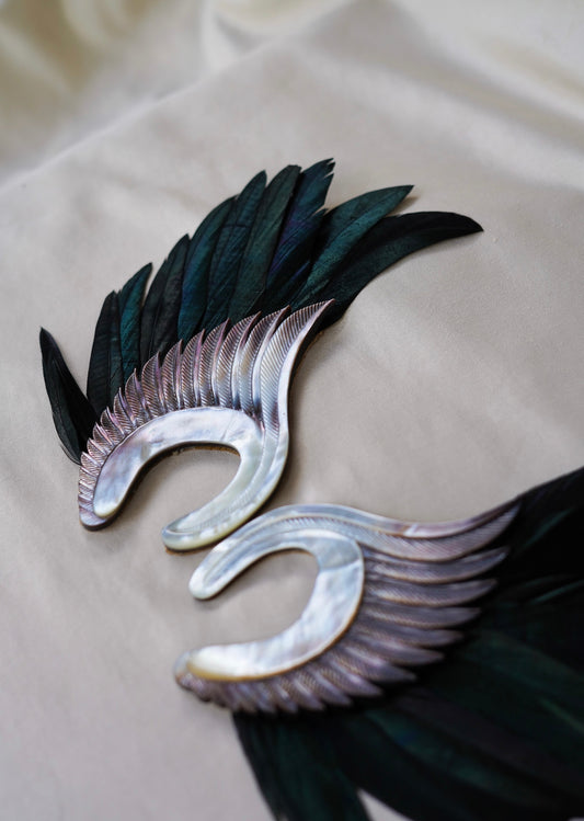 EarWings